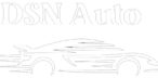 DSN Auto logo