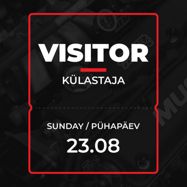 Külastaja - Pühapäev